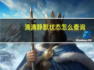 滴滴静默状态怎么查询（什么是滴滴静默状态）