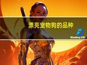 漂亮宠物狗的品种