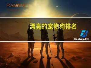 漂亮的宠物狗排名
