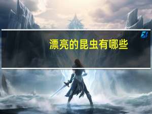 漂亮的昆虫有哪些