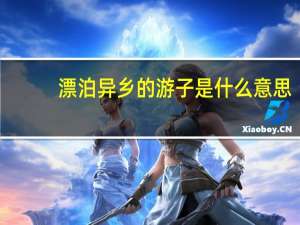 漂泊异乡的游子是什么意思