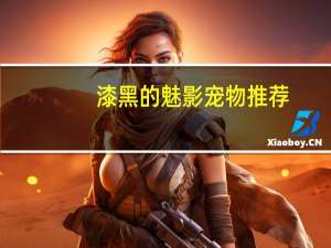 漆黑的魅影宠物推荐