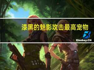 漆黑的魅影攻击最高宠物