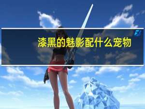 漆黑的魅影配什么宠物
