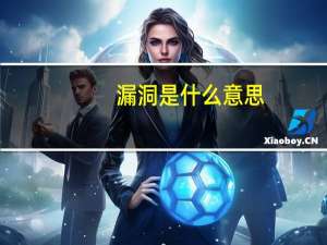 漏洞是什么意思