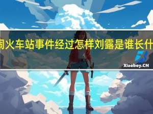 演员刘露大闹火车站事件经过怎样刘露是谁长什么样个人资料介绍