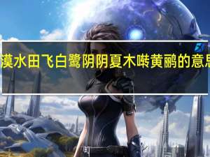 漠漠水田飞白鹭阴阴夏木啭黄鹂的意思是什么