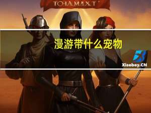 漫游带什么宠物