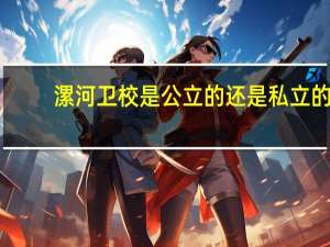 漯河卫校是公立的还是私立的