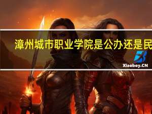 漳州城市职业学院是公办还是民办