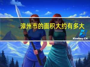 漳州市的面积大约有多大