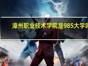漳州职业技术学院是985大学吗