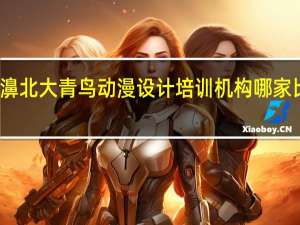 漾濞北大青鸟动漫设计培训机构哪家比较正规