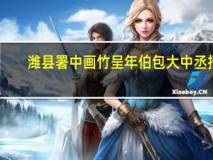潍县署中画竹呈年伯包大中丞括,意思