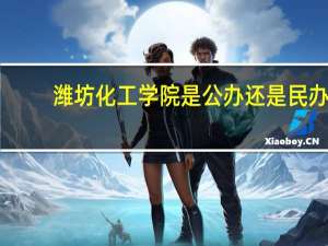潍坊化工学院是公办还是民办