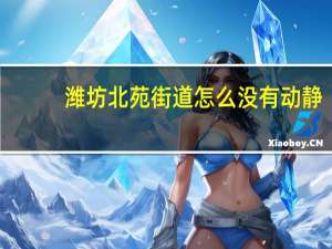 潍坊北苑街道怎么没有动静