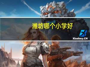 潍坊哪个小学好