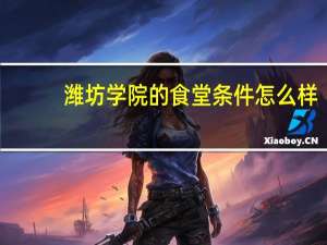 潍坊学院的食堂条件怎么样