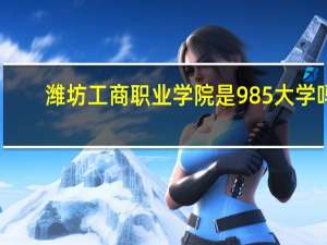 潍坊工商职业学院是985大学吗