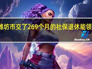 潍坊市交了269个月的社保退休能领多少钱
