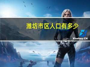 潍坊市区人口有多少