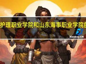 潍坊护理职业学院和山东海事职业学院的专业对比
