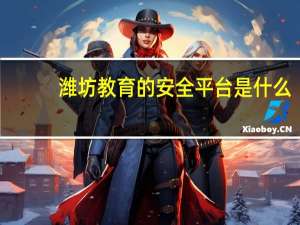 潍坊教育的安全平台是什么？