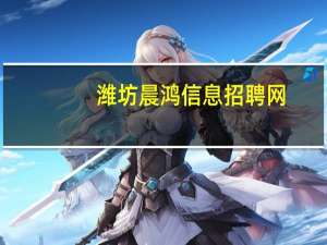 潍坊晨鸿信息招聘网（潍坊晨鸿信息）