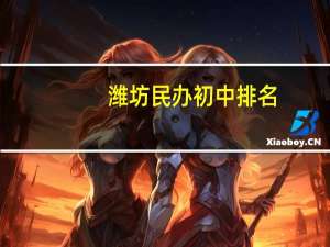 潍坊民办初中排名