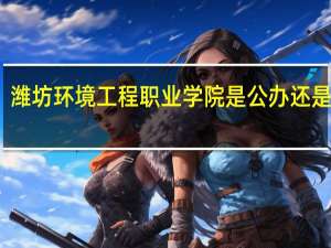 潍坊环境工程职业学院是公办还是民办