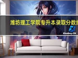 潍坊理工学院专升本录取分数线