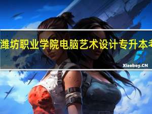 潍坊职业学院 电脑艺术设计专升本考什么