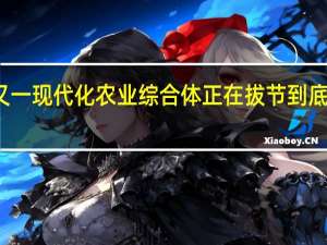 潍城又一现代化农业综合体正在拔节 到底什么情况嘞