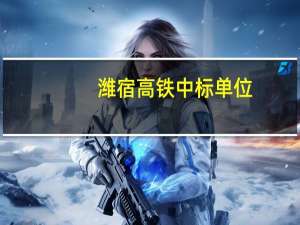 潍宿高铁中标单位