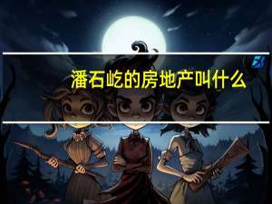 潘石屹的房地产叫什么