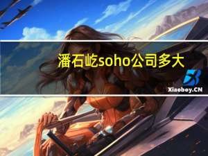 潘石屹soho公司多大（潘石屹-SOHO中国有限公司董事长介绍）