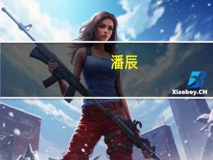 潘辰（关于潘辰的介绍）