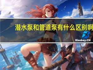 潜水泵和管道泵有什么区别啊