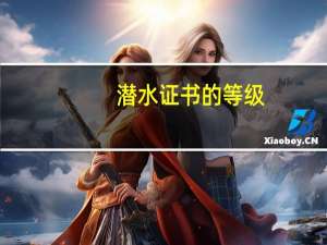 潜水证书的等级
