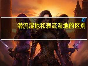 潜流湿地和表流湿地的区别