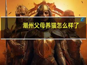 潮州父母养猫怎么样了