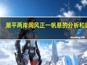 潮平两岸阔风正一帆悬的分析和理解（潮平两岸阔风正一帆悬赏析）