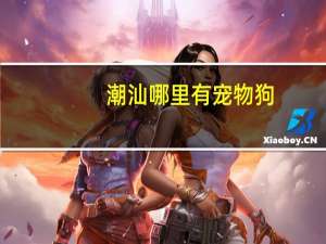 潮汕哪里有宠物狗