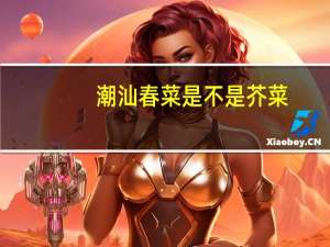 潮汕春菜是不是芥菜