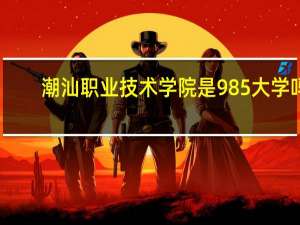 潮汕职业技术学院是985大学吗