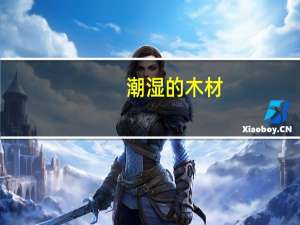 潮湿的木材