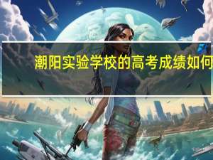 潮阳实验学校的高考成绩如何