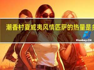 潮香村 夏威夷风情匹萨的热量是多少