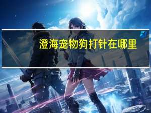 澄海宠物狗打针在哪里