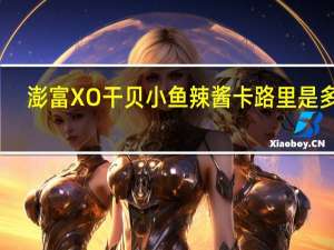 澎富XO干贝小鱼辣酱卡路里是多少
